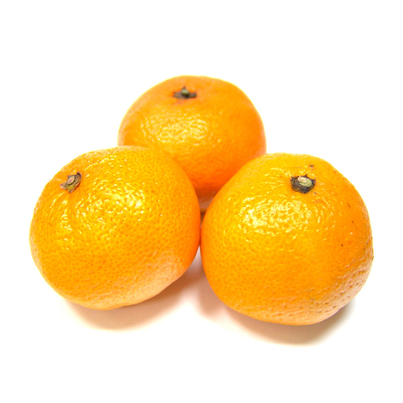 Mandarin Orange | Citrus Beauty in Your Garden | Gulab.pk