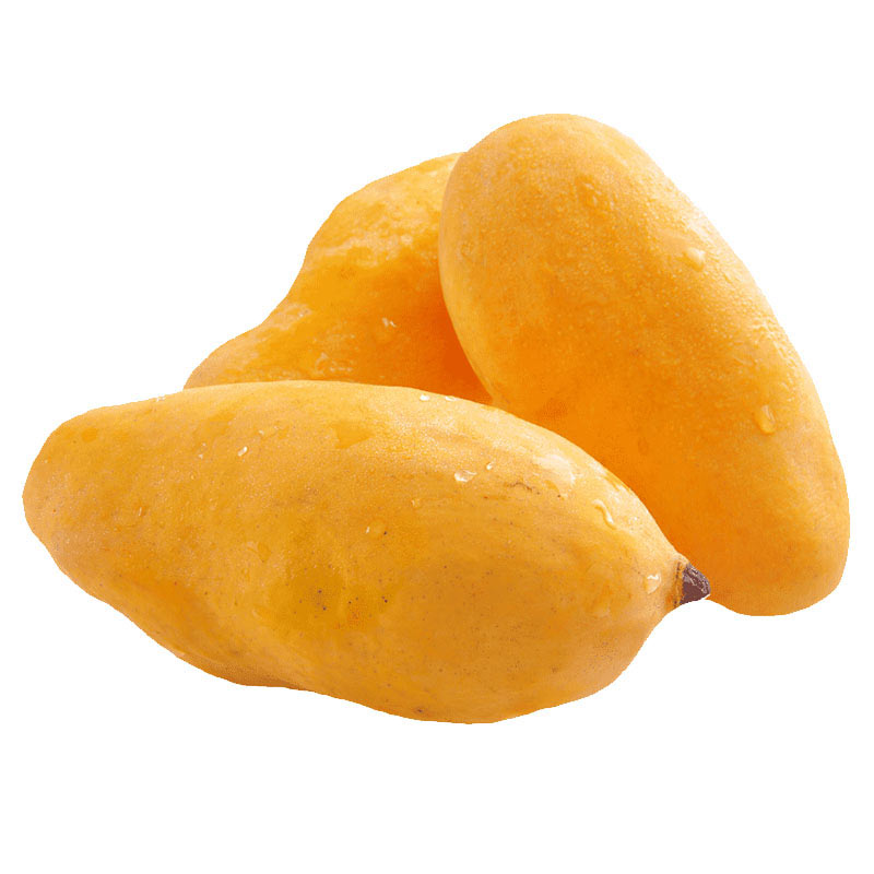 Sindhri Mango | Sweetness of Sindhri | Gulab.pk