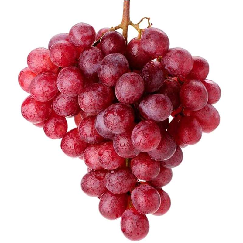 red-globe-grapes-online-plant-store-in-lahore-gulab-pk