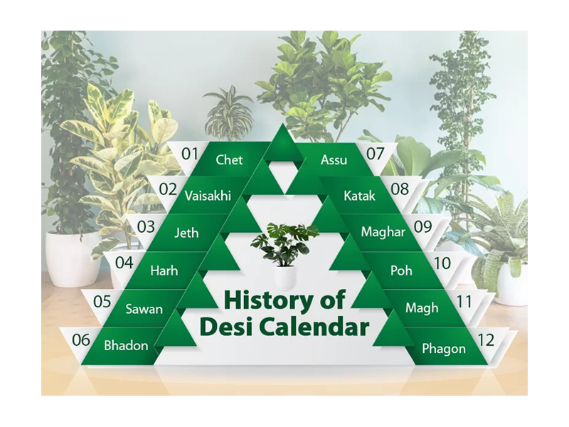 History Of Desi Calendar Gulab